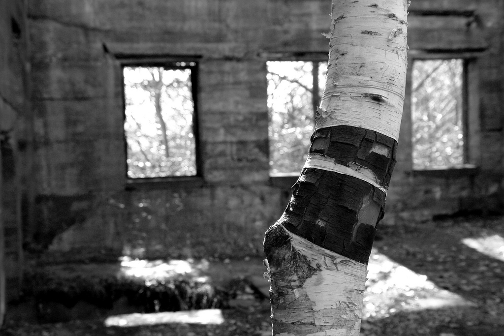 Overlook House Ruins