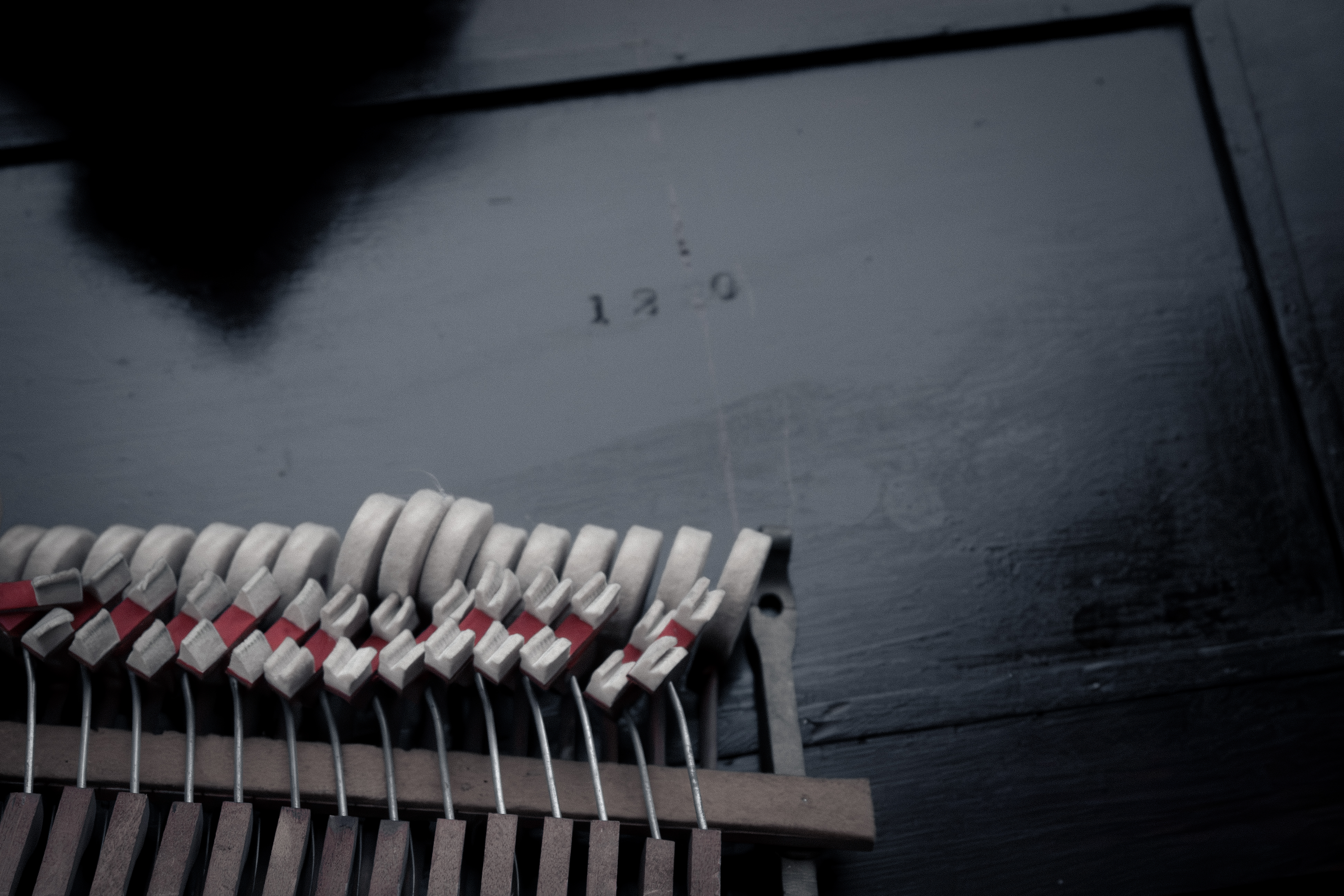 thumbnail for the photography series: Dead Piano